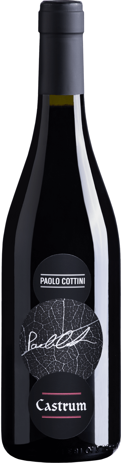 Castrum IGT Rosso Veronese